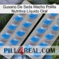 Gusano De Seda Macho Polilla Nutritiva Líquido Oral 23